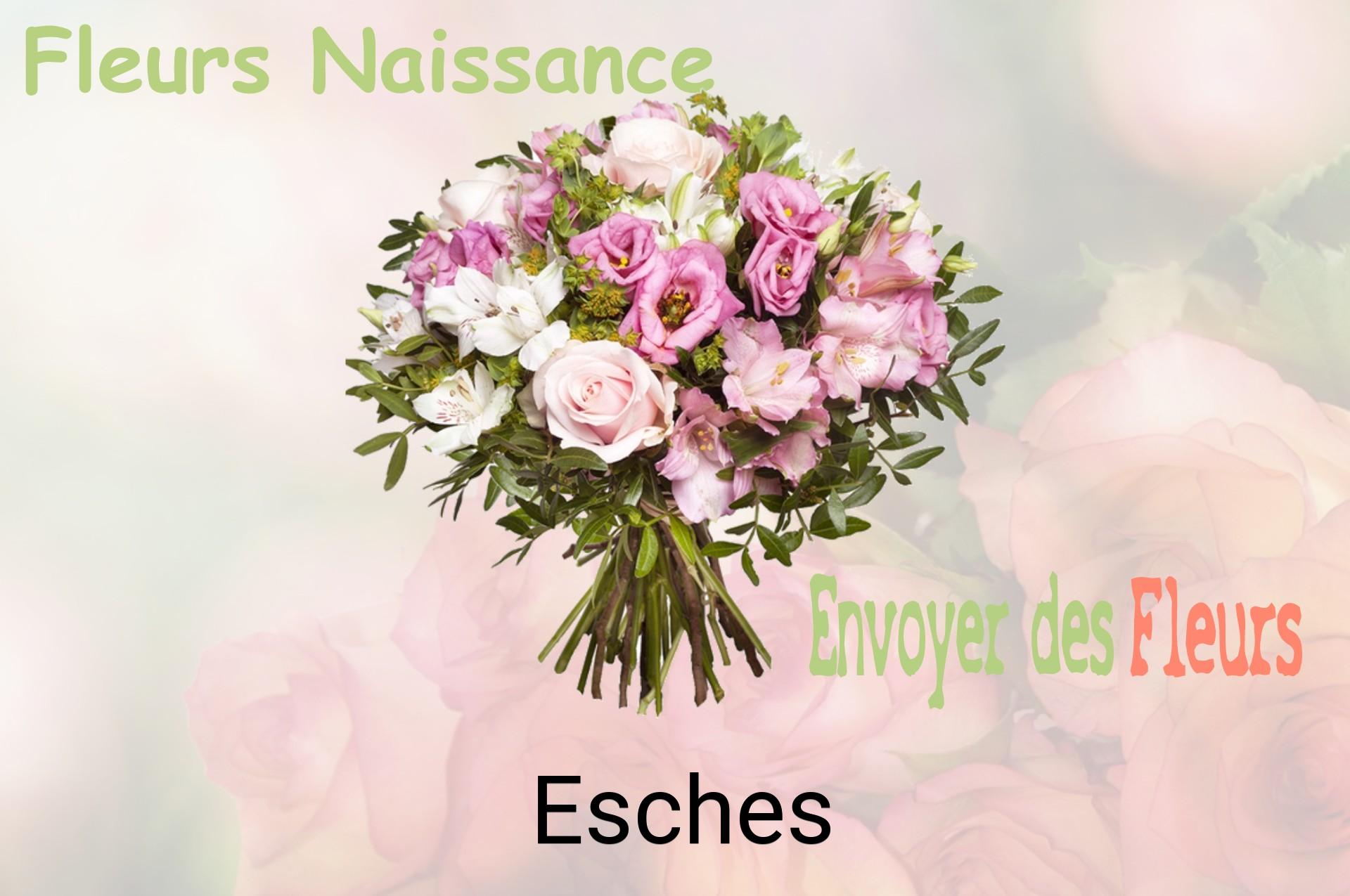 Bouquet de fleurs de naissance livré à Esches