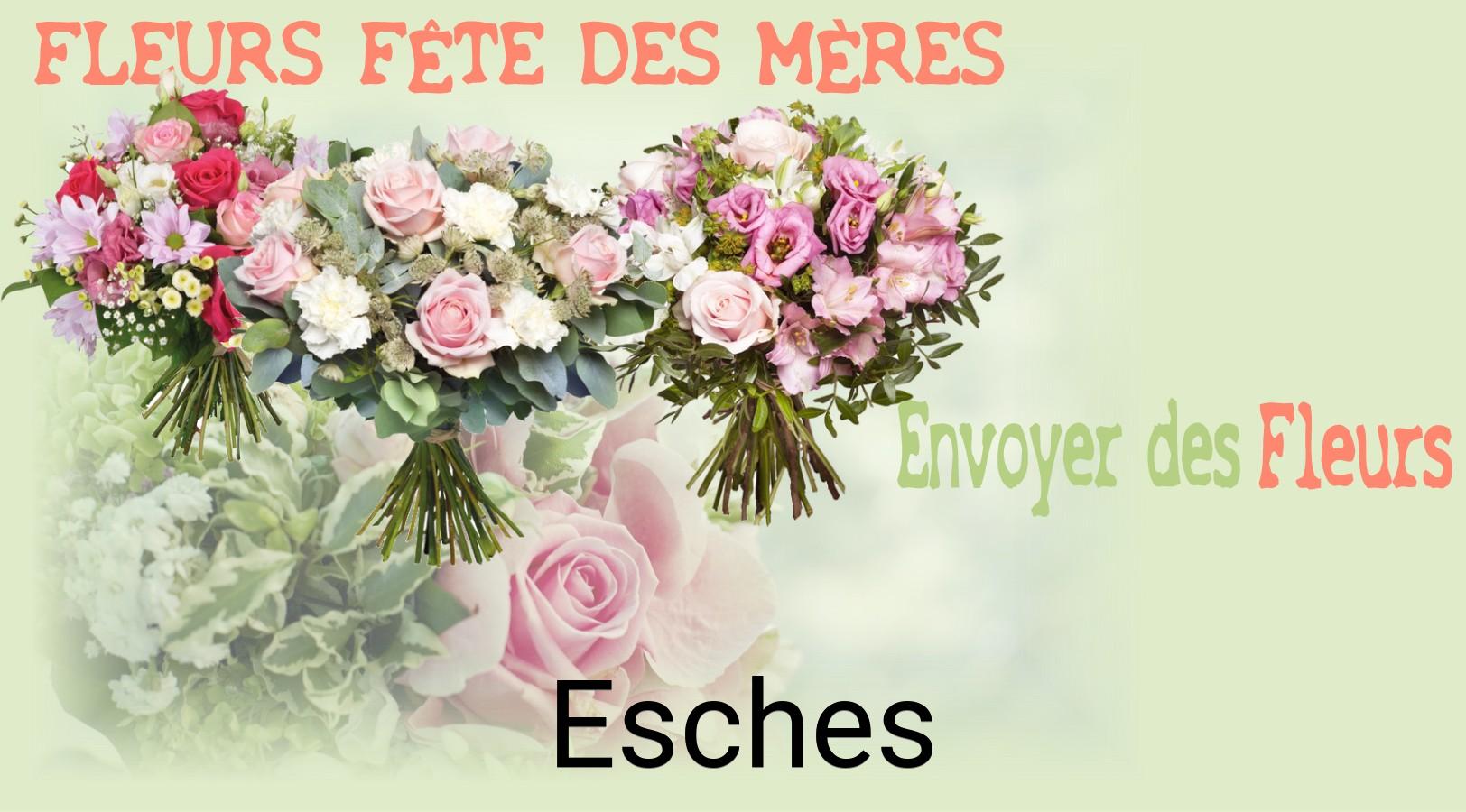 Bouquet de Fête des Mères livré à Esches